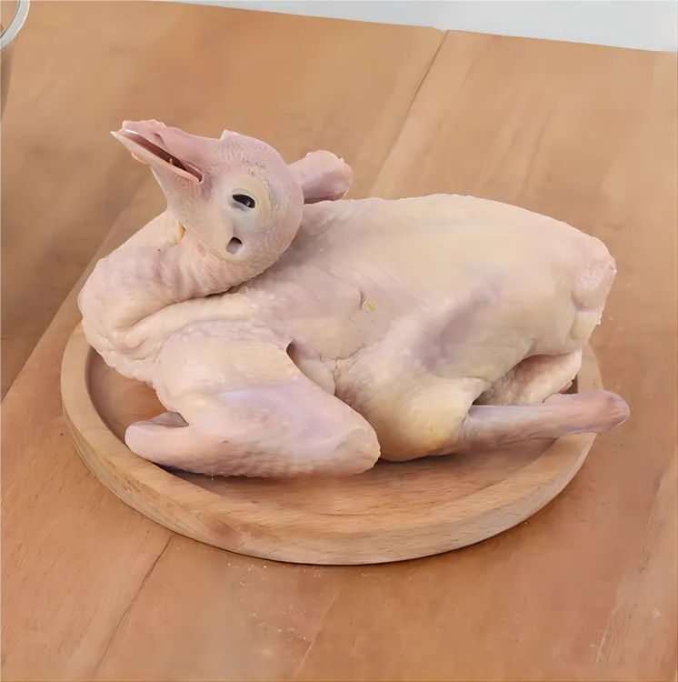 鸽子新鲜现杀鸽子肉煲汤3只顺丰包邮