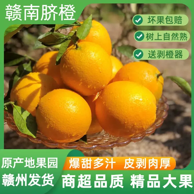 赣南脐橙自家果园现摘现发皮薄汁多赣南脐橙10斤20斤包邮