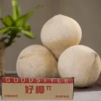 【顺丰包邮】越南原装进口椰皇椰子单果450-500g新鲜水果