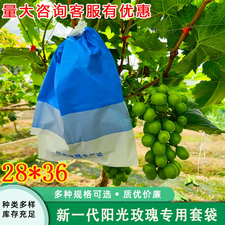 葡萄套袋专用袋阳光玫瑰专用套袋葡萄袋子适用喷药防水果袋包纸袋