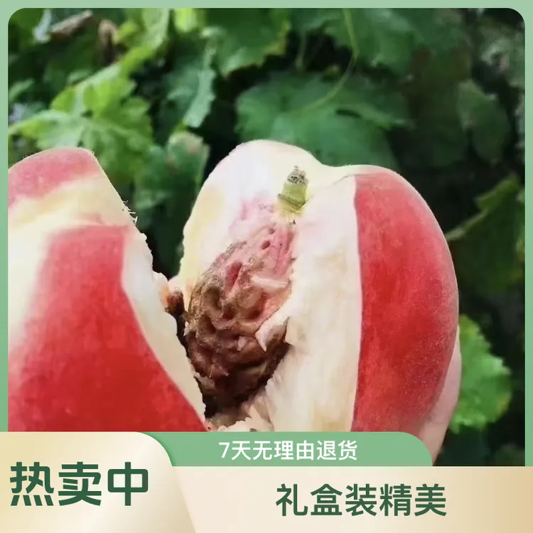 (京东省外)秦安北京七号水蜜桃应季水果