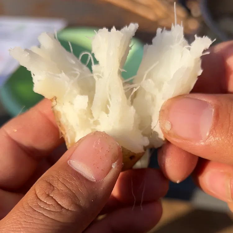 鹏达果蔬鹏达果蔬金星山药A级绿色食品5斤断果