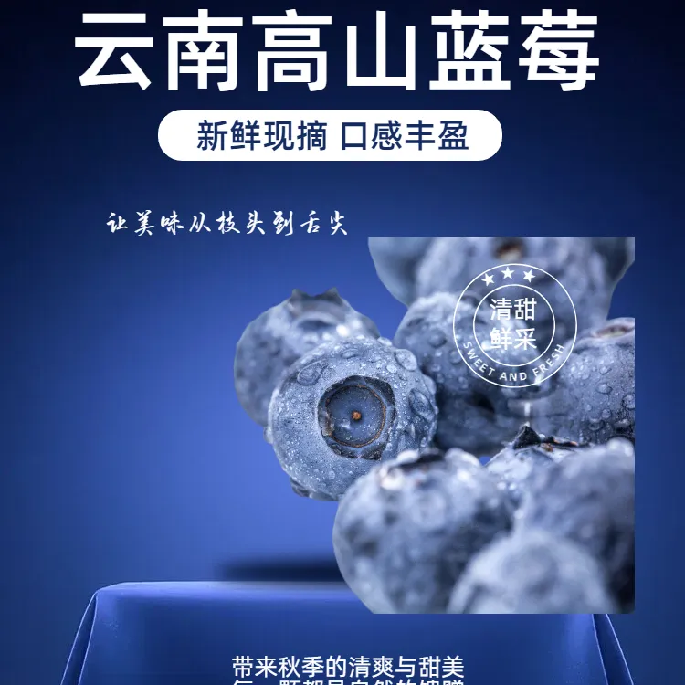 云南高山新鲜现摘蓝莓当季鲜果酸甜可口果王100g/盒顺丰发货
