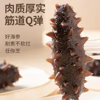 大连即食海参鲜食海参免解冻免泡发6头8头10头