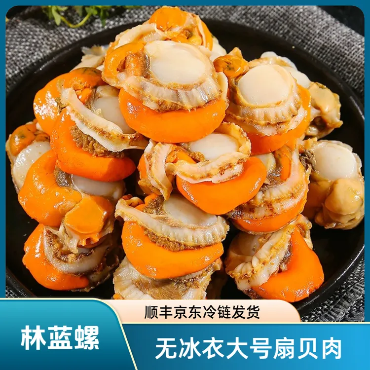林蓝螺新鲜大号去壳扇贝肉250G/袋带膏带黄无泥无沙北城红北