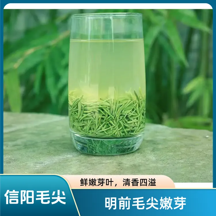 信阳毛尖2025明前芽头香气浓郁回甘清甜