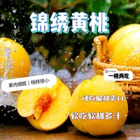 【山东蒙阴锦绣黄桃】新鲜脆甜，果肉细腻，新鲜采摘BZBT