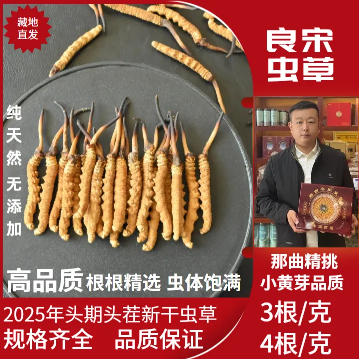 良宋冬虫夏草正宗虫草3根/克和4根/克西藏那曲比如虫草高海拔