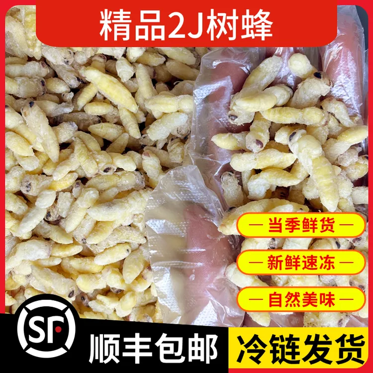 树蜂2蜂蛹新鲜速冻蜂蛹今年新货马蜂胡蜂葫芦蜂