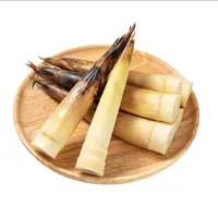 【会员商店】雷竹笋（春笋）600g