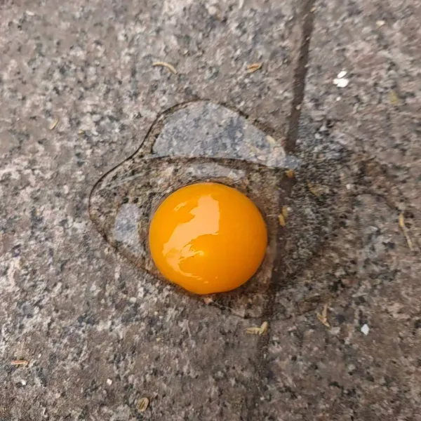 试吃10枚家庭农场直发无抗蛋农场土鸡蛋散养纯天然柴鸡蛋