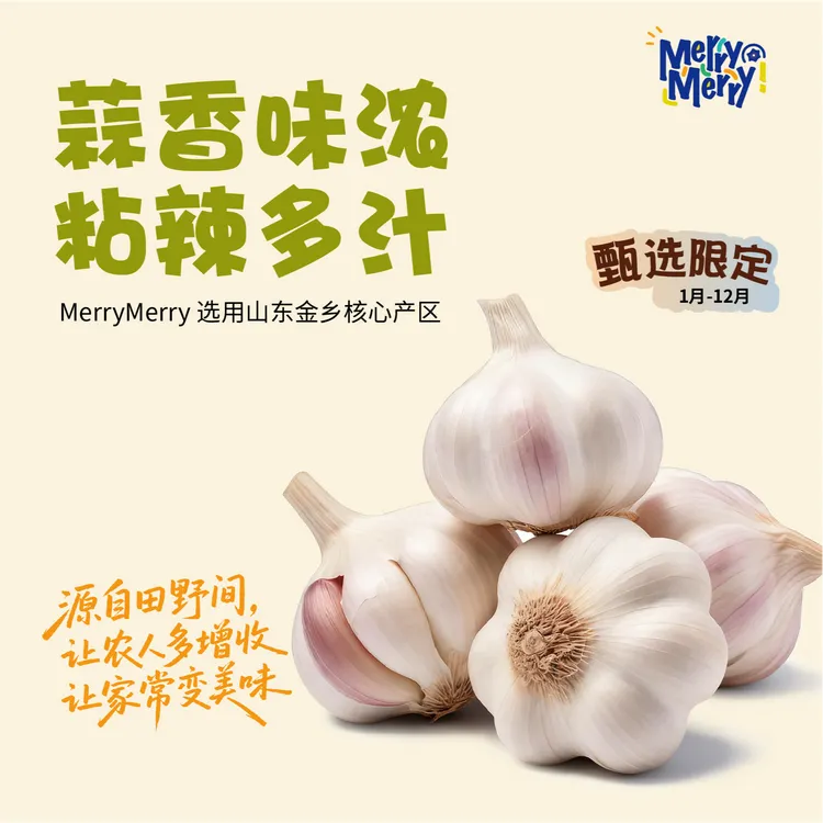 正宗山东金乡干大蒜 辛辣大蒜头 产地直发干大蒜 蒜香十足xm