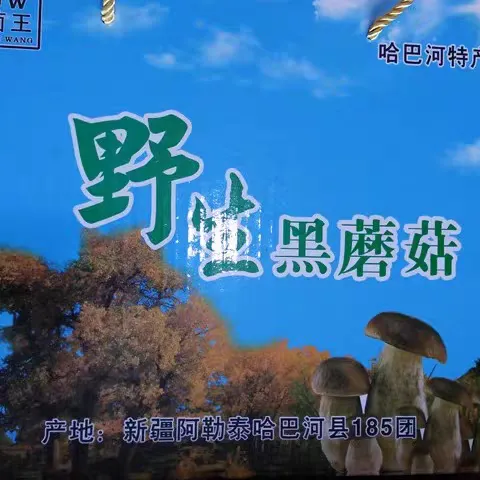 新疆特产野生黑蘑菇