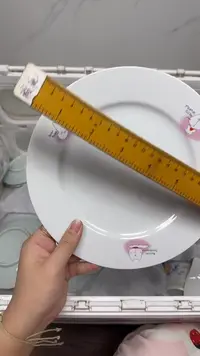 【闪购商品】623回流瓷器默认微瑕，18.8包邮