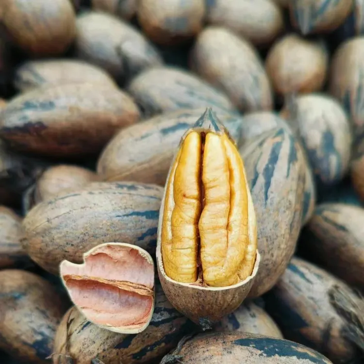 原味生碧根果0添加薄壳山核桃长寿果坚果生干核桃 宠物零食