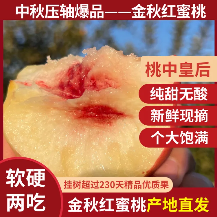 新鲜现摘水蜜桃金秋红蜜当季应季水果鲜甜多汁脆甜无酸中秋爆款