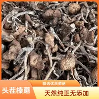 【静静专属】东北榛蘑深山采摘中小蘑菇头《老邵》