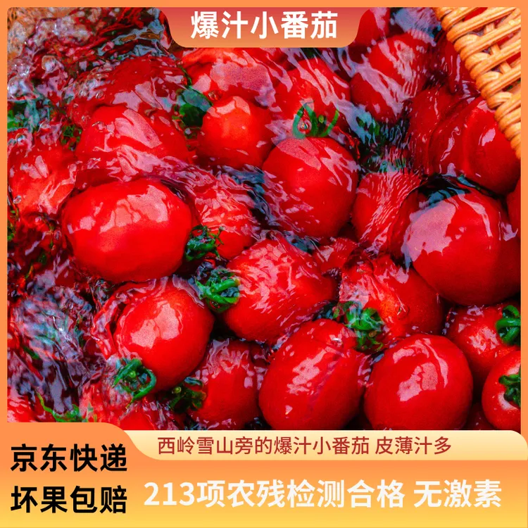 【专享】斜源新鲜现摘自然熟爆汁酸甜当季圣女果树番茄