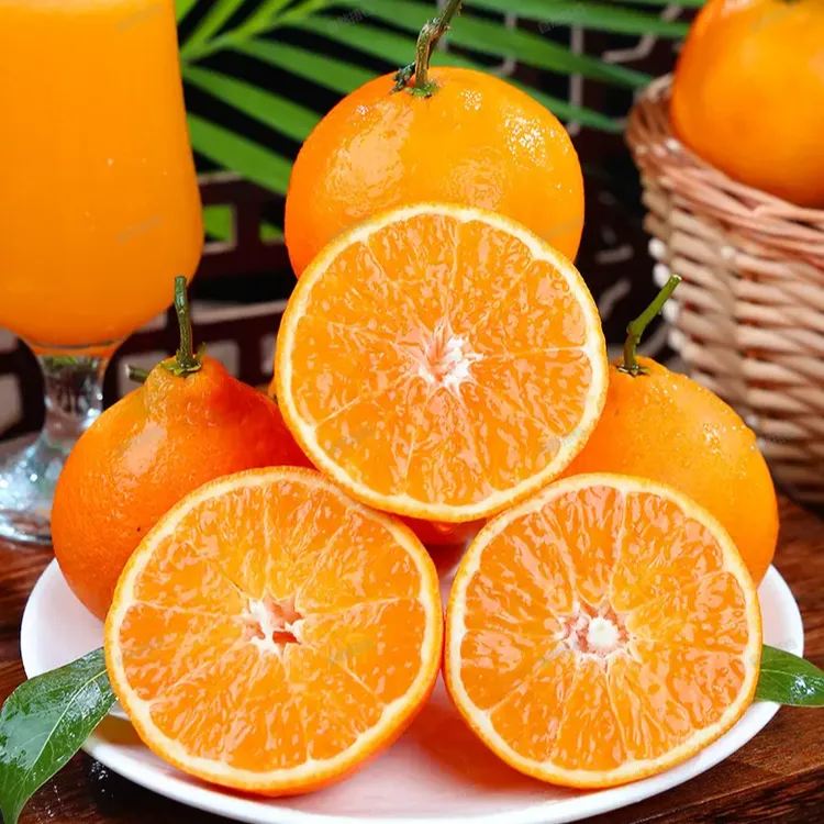 【雅橙】四川爱媛果冻橙6枚装70-75mm当季新鲜水果橙子皮薄多汁