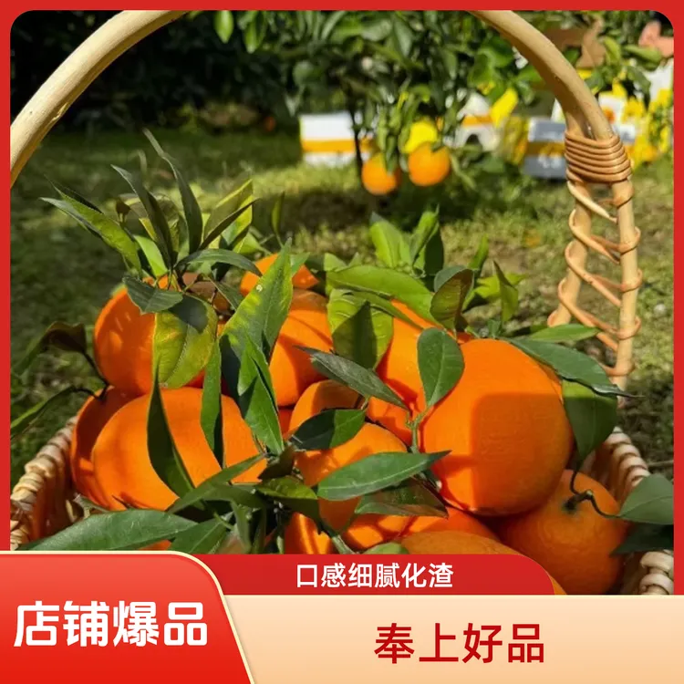 【京东速运】奉节脐橙头茬鲜果5斤10斤新鲜现摘脆嫩香甜多汁