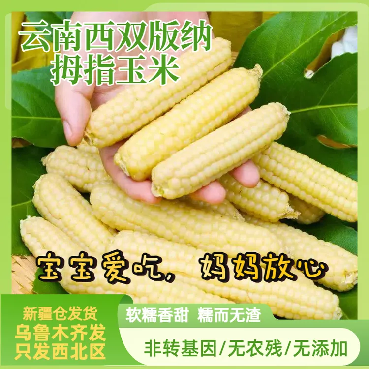 【新疆仓发】正宗西双版纳拇指小糯玉米软糯香甜低脂健康真空锁鲜