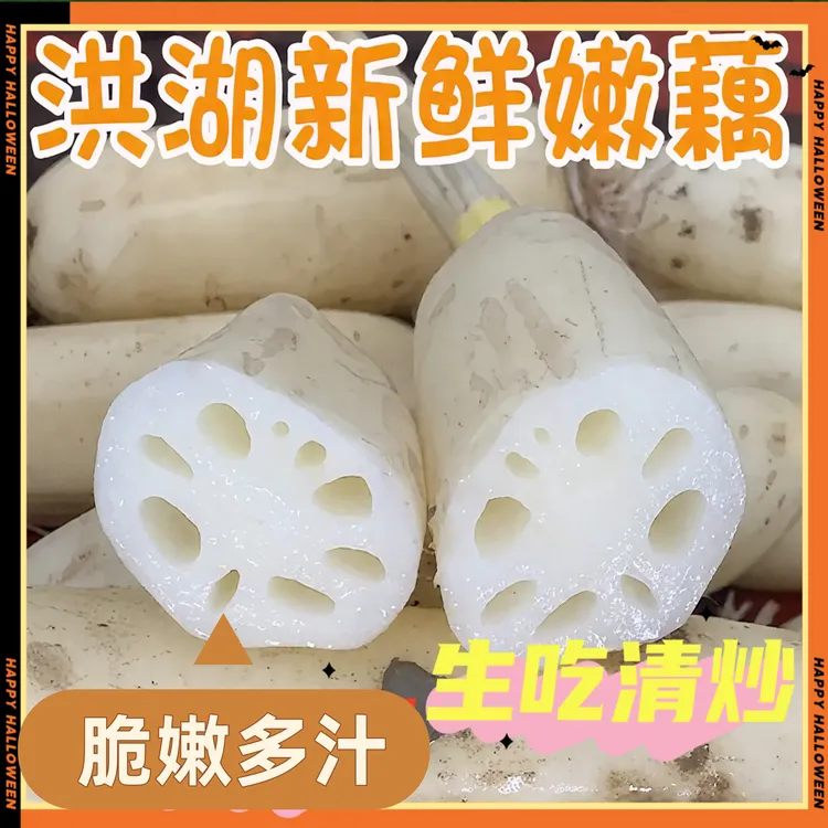 正宗洪湖脆嫩莲藕现挖现发无渣清炒凉拌新鲜蔬菜农家直供3斤5斤