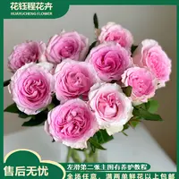 洛神单头玫瑰 任意2单以上发货包邮  鲜花直发