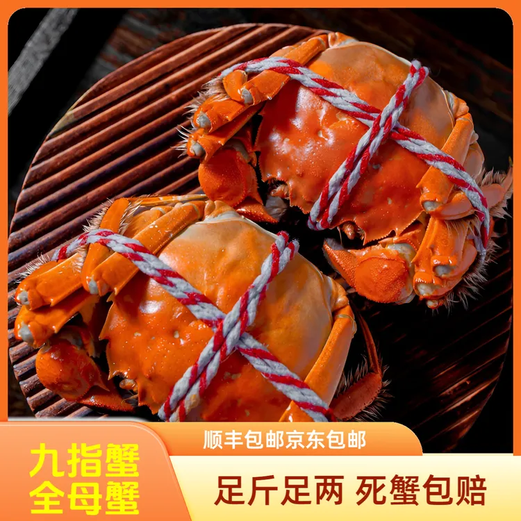 【活蟹】3.2-2.9两江苏九指母蟹6/8/10只装九指蟹顺丰京东包邮