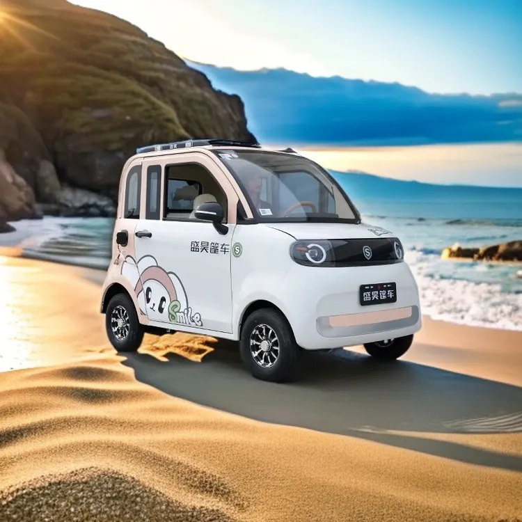 盛昊GL9四轮车小型四座电动车接送小孩可加装空调家用代步