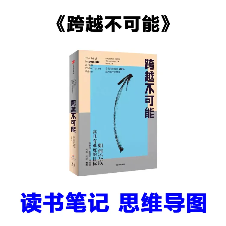 《跨越不可能》个人读书笔记 思维导图【非纸质】【非电子书】