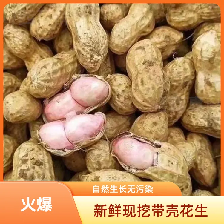 花生2025年新鲜农家小白沙罗汉果花生湿花生1斤3斤5斤
