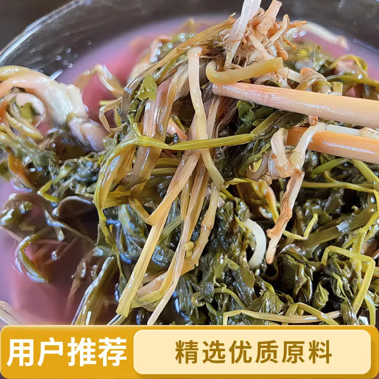 【富源农家制作细叶芹酸菜】优质原料包邮到家