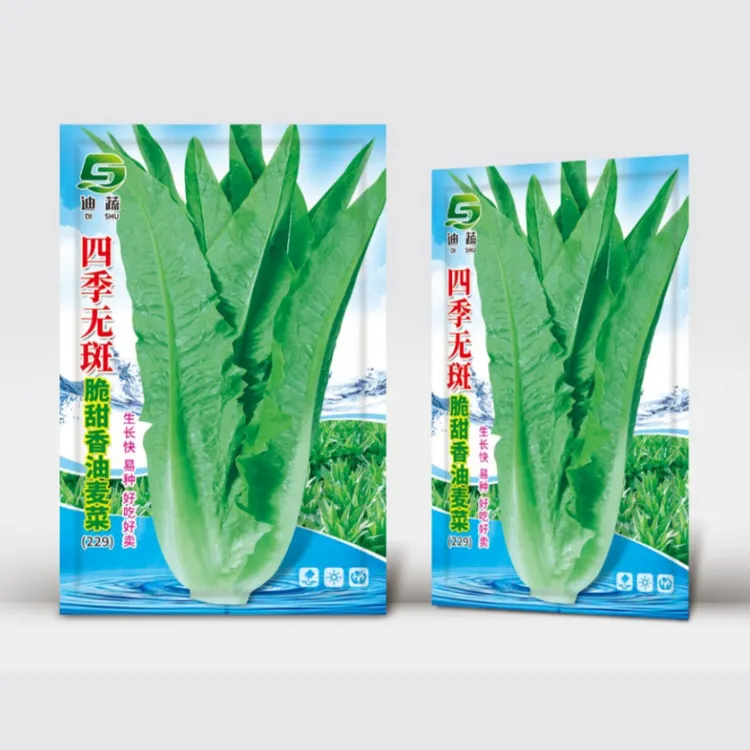 四季无斑油麦菜种子229香油麦菜种子