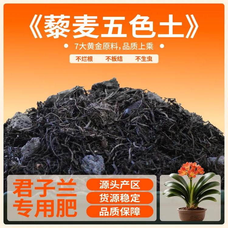 君子兰专用藜麦五色营养土藜麦松针葵花籽豆粕马粪火山岩兰科通用