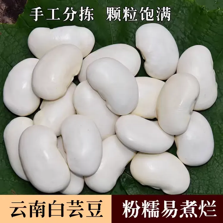 云南大白芸豆新货五谷杂粮干豆农家肾腰豆粗粮膳食芸豆大白豆煮粥