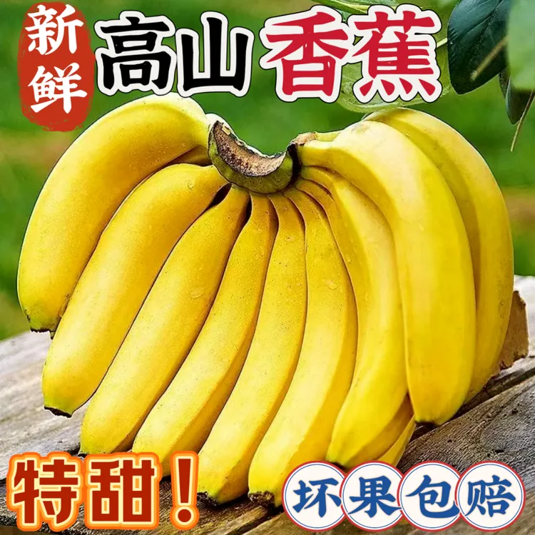 正宗高山甜香蕉【净重5斤】广西产地直发应季新鲜热卖水果芭蕉包邮