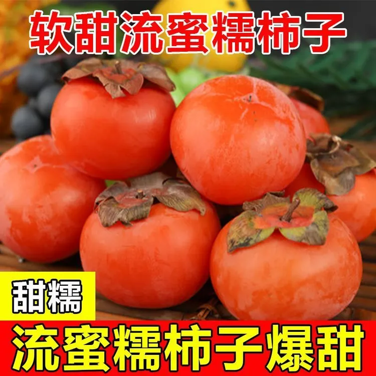 火晶柿子冰糖心蜜柿软柿子应季新鲜无核甜柿爆浆流心柿子