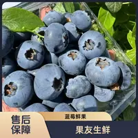 【进口鲜果蓝莓】 18mm+4盒/份 净果1斤太原晋中吕梁忻州拍