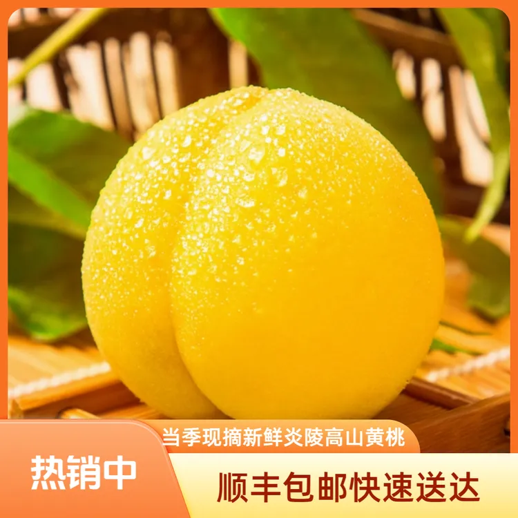 顺丰包邮【炎陵黄桃】当季现摘新鲜脆甜水果肉细嫩汁美坏果包赔FS