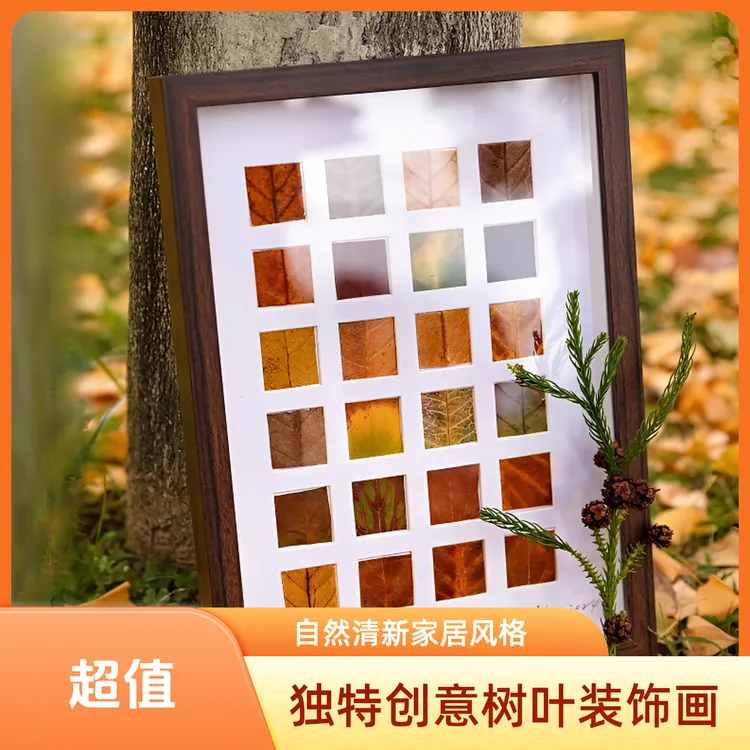 48宫格相框24宫格16宫格diy秋天收集树叶装饰树叶相框手工制作