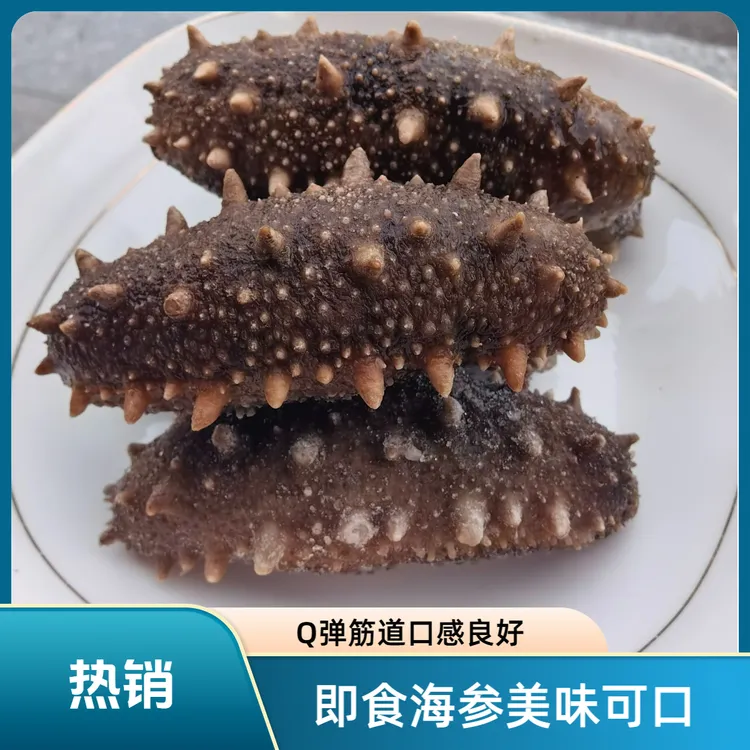 即食鲜食海参10-13头Q弹筋道口感好