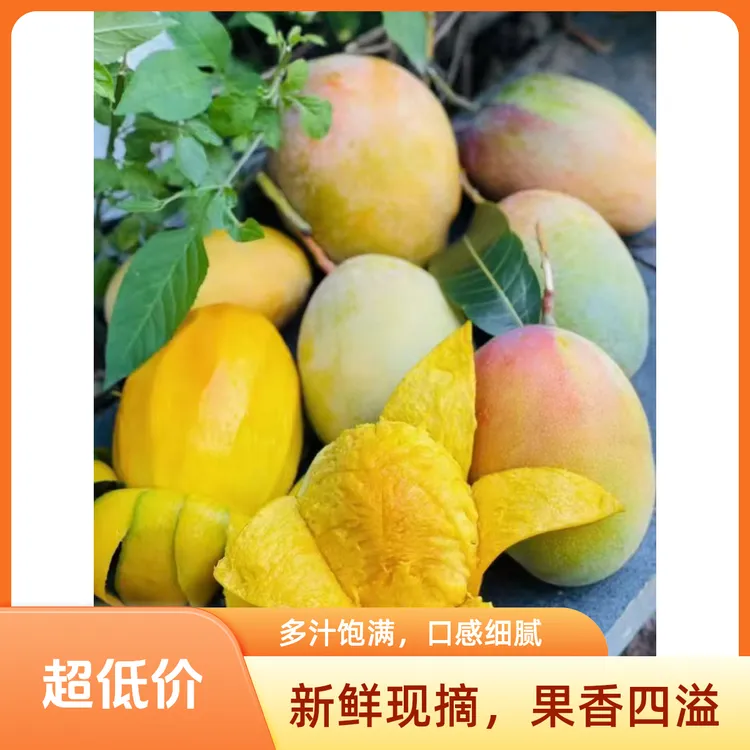 [凯特芒]攀枝花正宗凯特芒果，果园直发，新鲜采摘，肉厚多汁