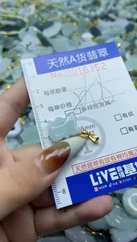 【闪购商品】翡翠颈饰未镶嵌天然A货翡翠