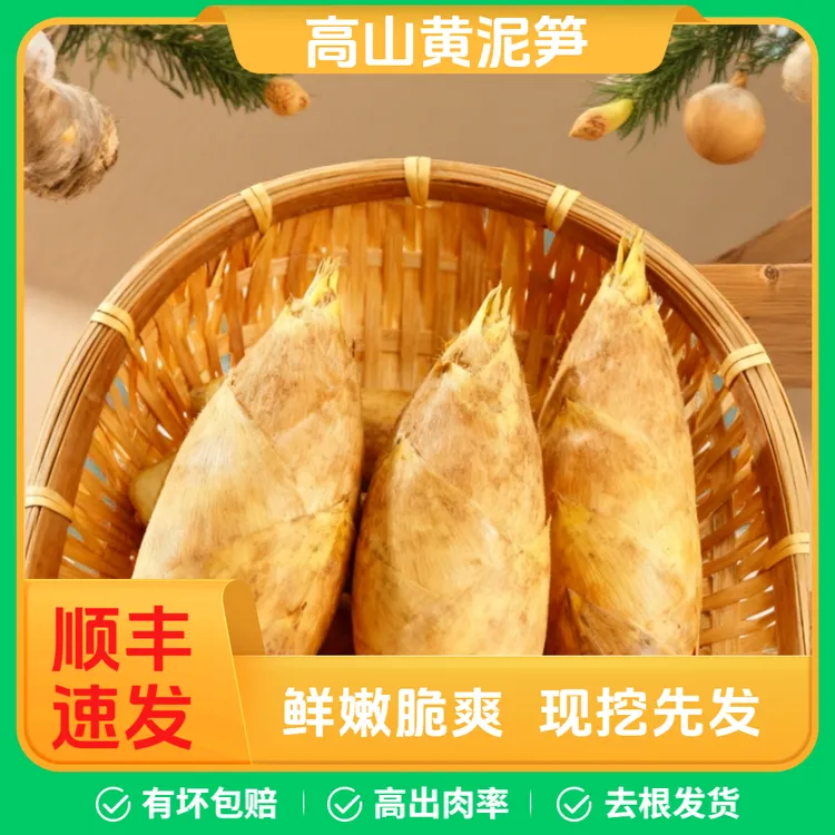 丨新鲜现挖丨高山黄泥冬笋桂林切老根竹笋5斤装 时令蔬菜顺丰直达