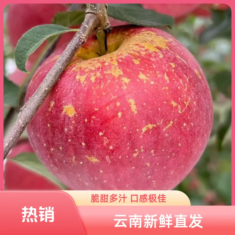 云南昭通2001丑苹果冰糖心正宗现摘现发脆甜多汁孕妇小孩可吃