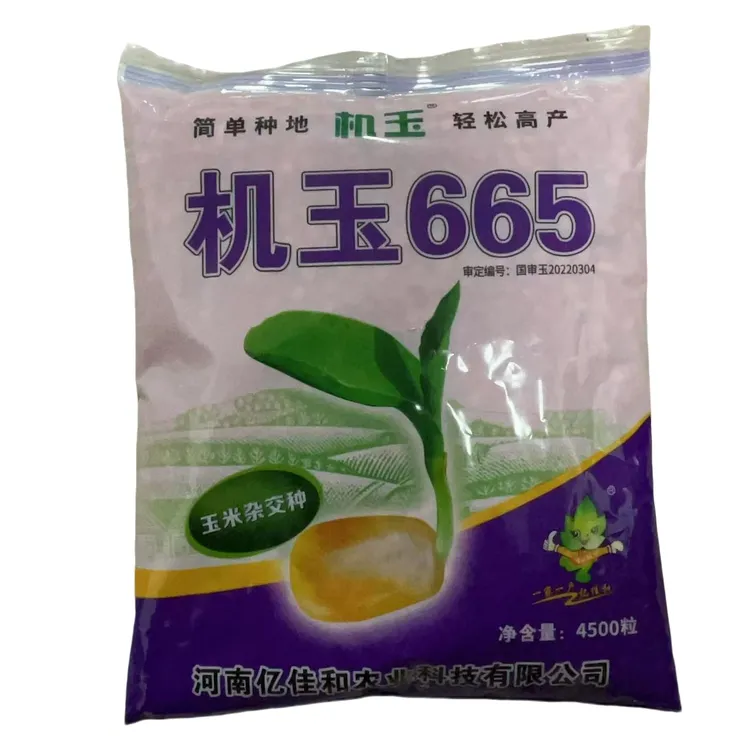 【机玉665】  国审玉米品种 抗青枯抗锈抗倒高产玉米品种 
