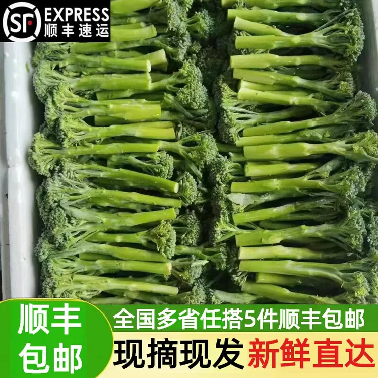 顺丰包邮现摘宁夏甜杆西兰苔新鲜苔西兰花苔西蓝花苔西蓝苔蔬菜