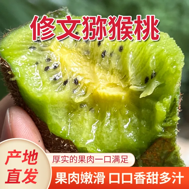 【新店福利试吃800g装】正宗修文贵长猕猴桃香甜多汁绿心猕猴桃