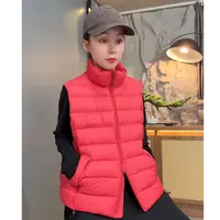 2025琥珀流光冬季网红洋气炸街女装立领保暖马夹羽绒服2513