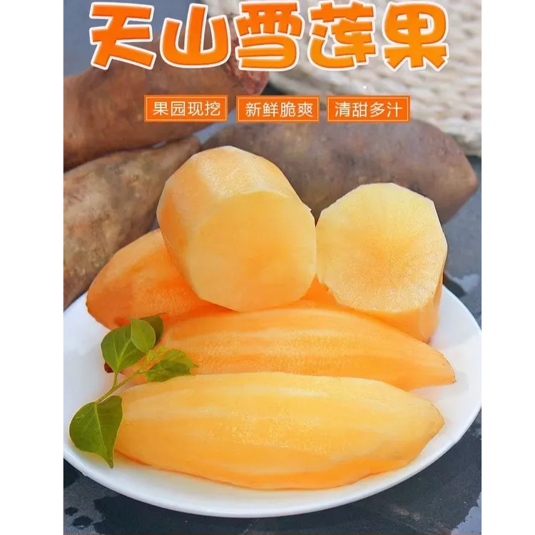 云南天山雪莲果应季新鲜现挖黄心水果清甜脆爽多汁
